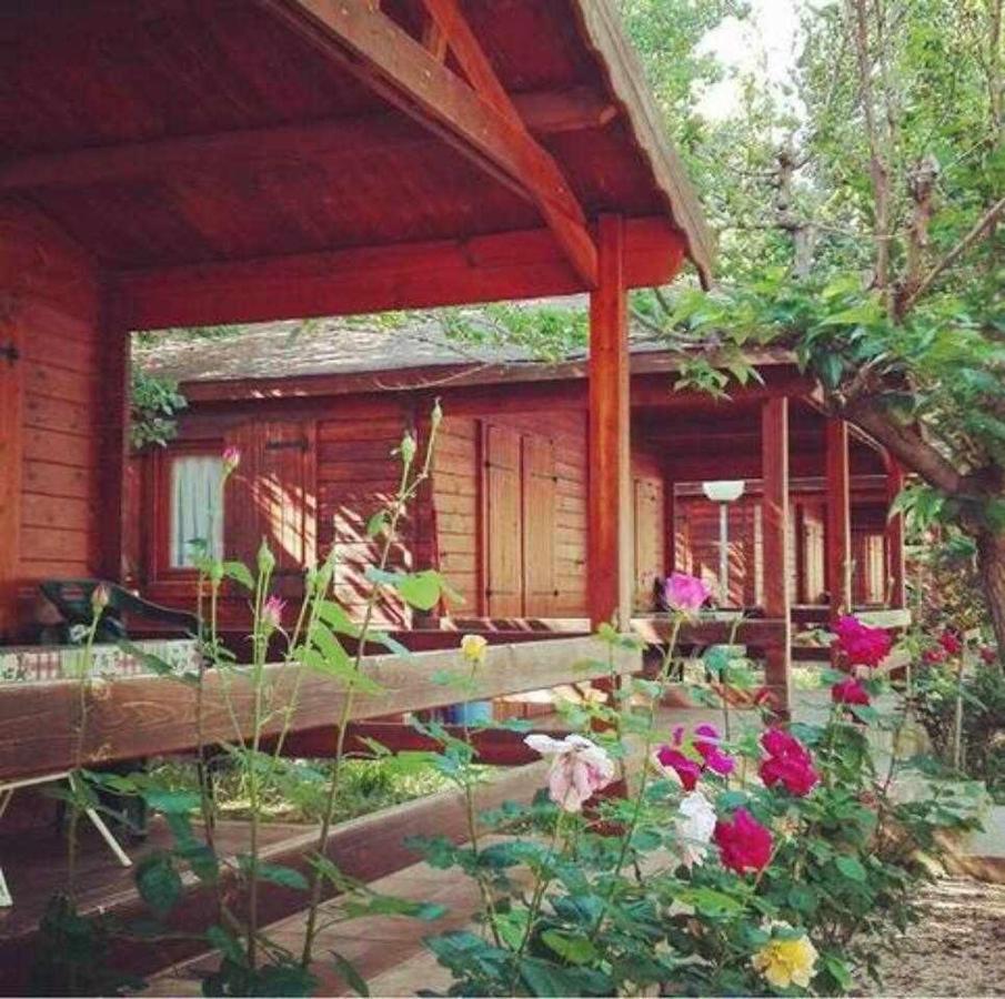 Bungalow&Camping Fuente De Regrustan Graus Exteriör bild